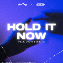 Hold It Now (ft Louis Gustave)
