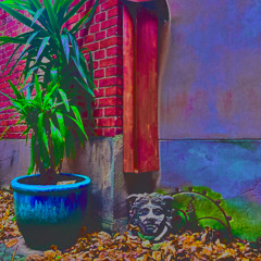 DO NOT EAT! Sunday Service @Colloseum