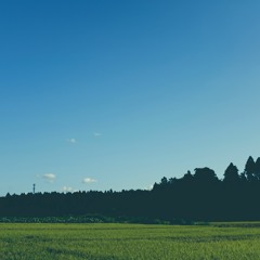 YACHIMATA_200824