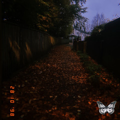 Lying in vain (feat. Weepings)
