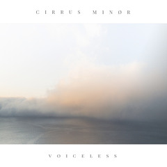 Voiceless