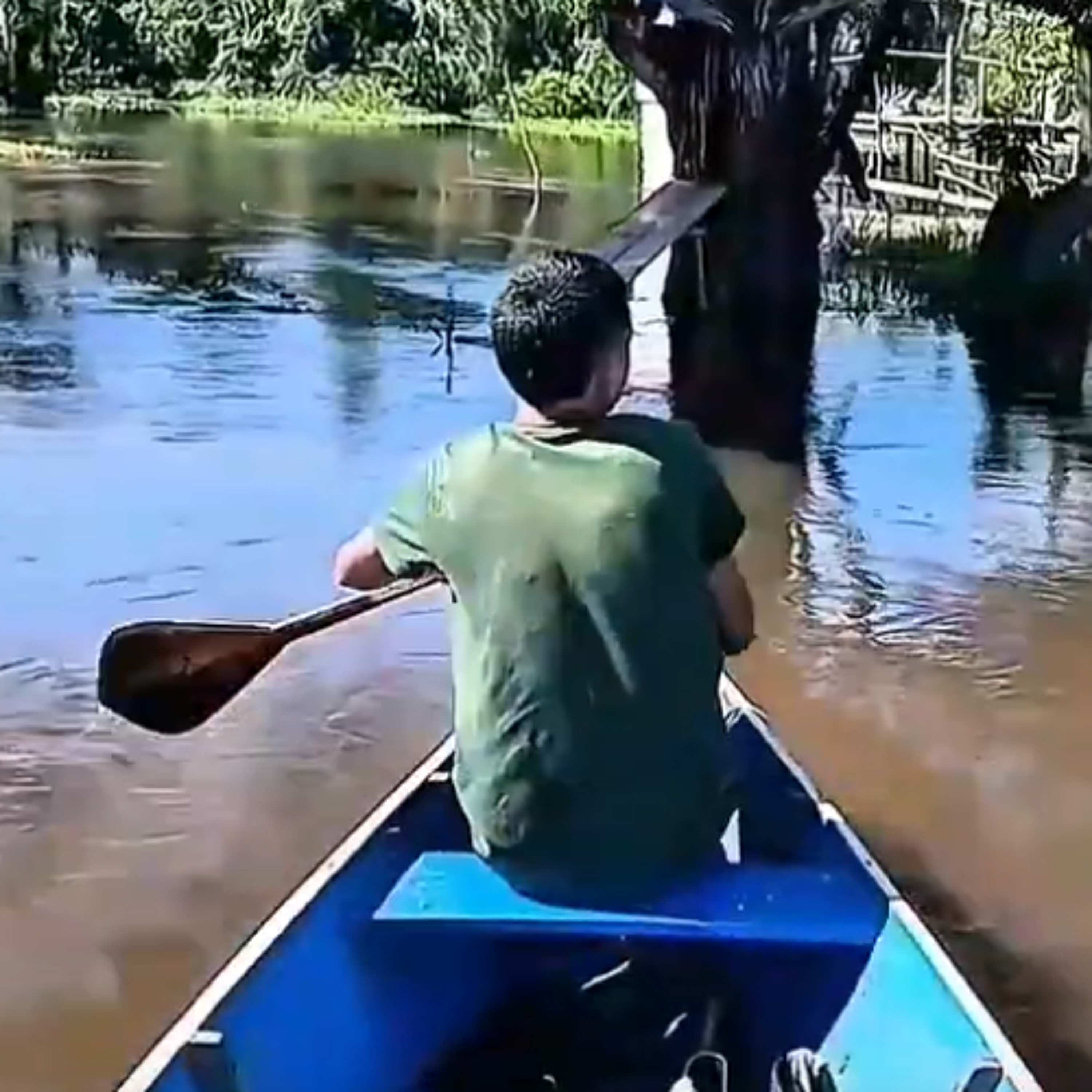 Organização de pescadores de Terra Santa é destaque no Alô Comunidade