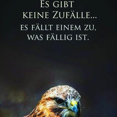BETTY BENG - Es gibt keine Zufälle....Es fällt einem zu, was fällig ist.