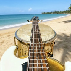 Conga and Bass brothers
