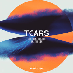 Andrew Dum vs. Headstrong feat. Stine Grove  - Tears (original mix)