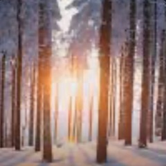 All the seasons are turning to winter.m4a