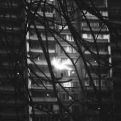 catalyst
