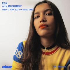 Rinse FM - Bushbby Mini Mix