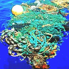 There's Ocean Plastic Twice The Size Of Texas