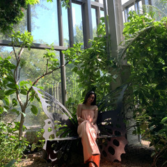 my future ( first take)