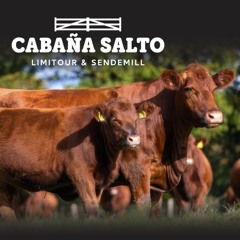 Eduardo Texeira - Cabaña Salto