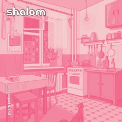 Pudra podcast #4 Guest Shalom [24.05.2023]