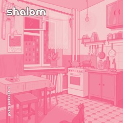 Pudra podcast #4 Guest Shalom [24.05.2023]