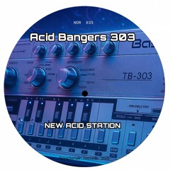 New Acid Station (Noradrenalin Records 035)
