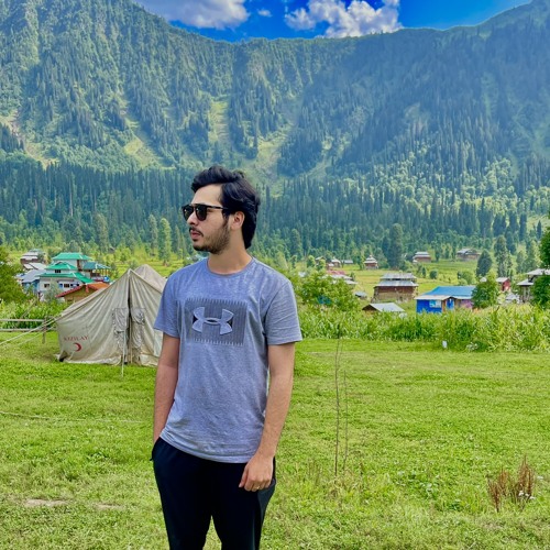Walla Walla- Pagalpanti Song