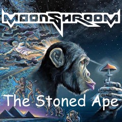 MoonShroom - The Stoned Ape / Laptop Speaker Mix / WIP