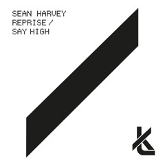 Sean Harvey - Say High (Original Mix)
