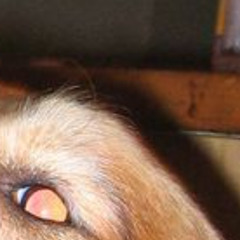 кей ру #архив