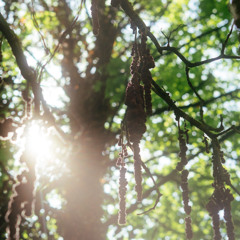 FYI Robyn - 24 August 2025