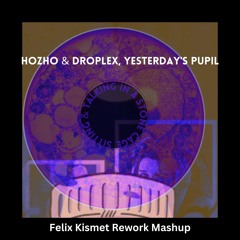 Hozho & Droplex, Yesterday's Pupil - Sitting & Talking In A Stone Cage (Felix Kismet Mashup)