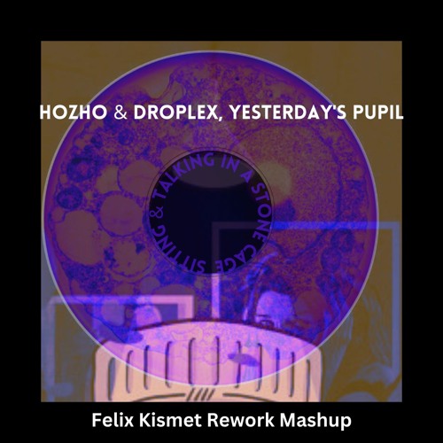 Hozho & Droplex, Yesterday's Pupil - Sitting & Talking In A Stone Cage (Felix Kismet Mashup)