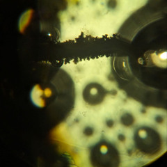 subharmon
