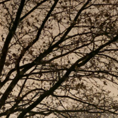 Ten (prod. thankswwr x mlodyhubson)