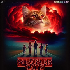 Stranger Cats
