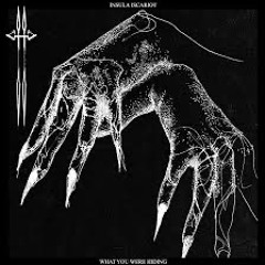 Insula Iscariot -What You Were Hiding (Delphosound remix)