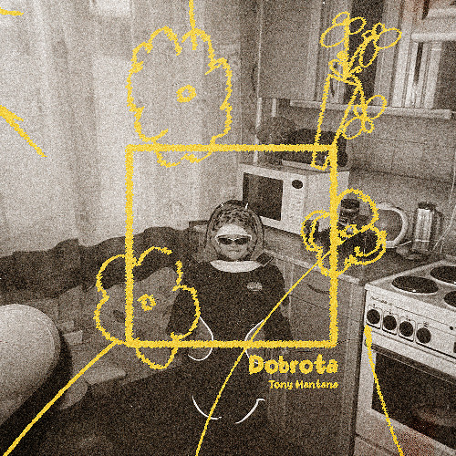 dobrota