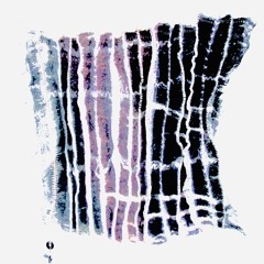 lint (prod. ricchfoureva)