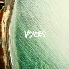 02 - Voices