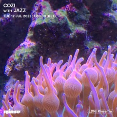 Cozi with Jazz - 12 July 2022