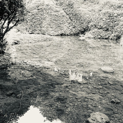民衆煽動