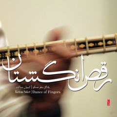 Setar Improvisation In Afshari (Live in Concert)
