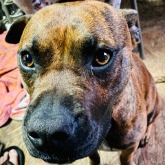 02 Hazel - 143 - BPM HD