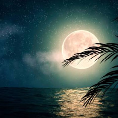 Someone Somebody Knew