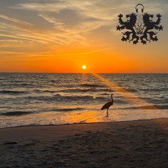 MMZ - Sudbeats 20 (Anna Maria Island)
