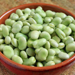 Flip Fava