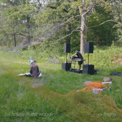 (A) House In The Woods