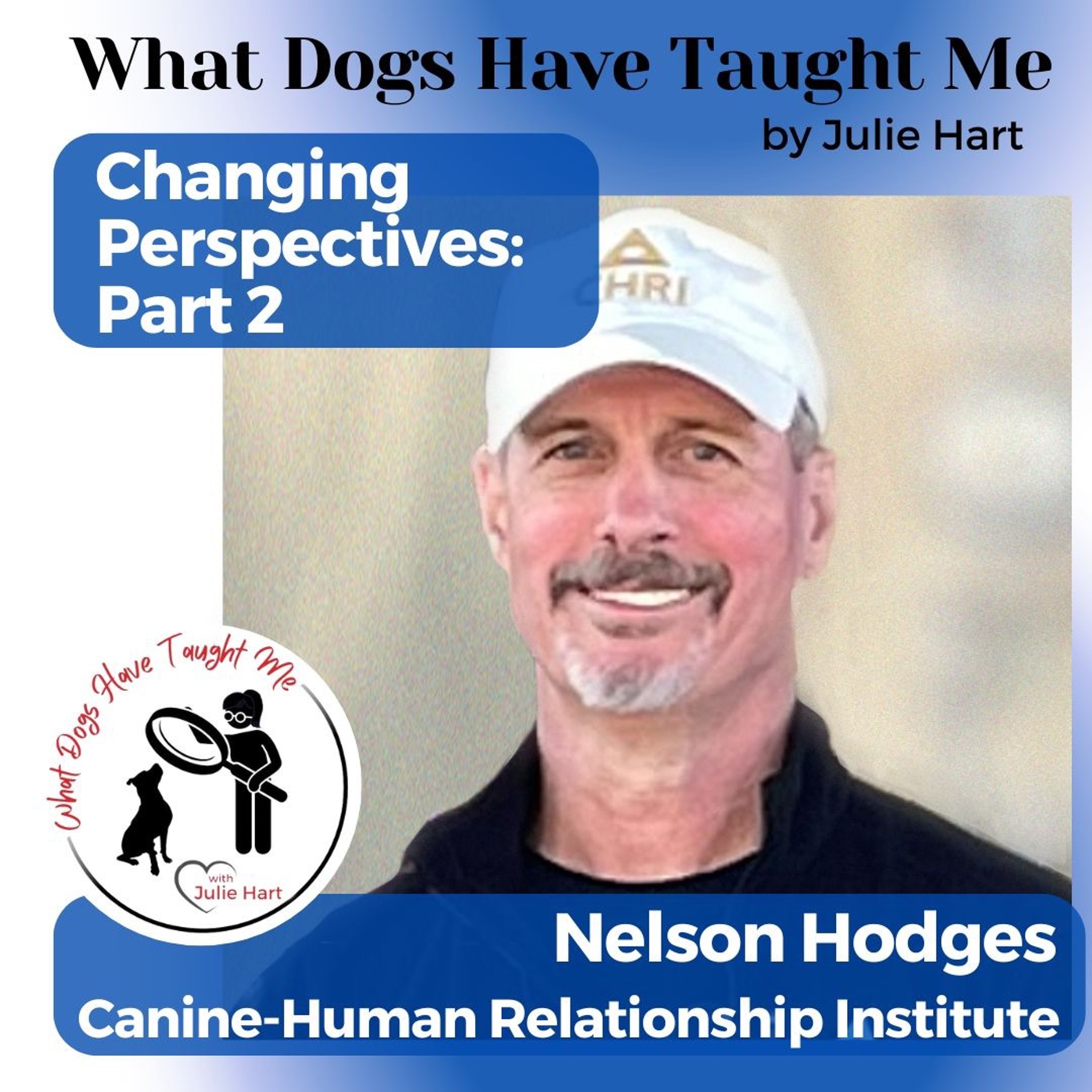 What Dogs Have Taught Me