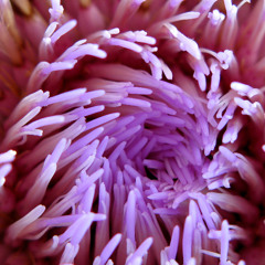 Oboskop - MTB Forever (2014) [Bass Land EP]