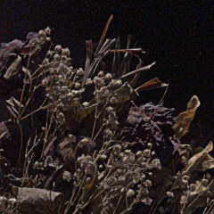 J Adams, CSiiiC, & L0onie  - Garden Of The Withered (Prod.PINKMYST)