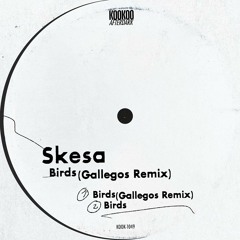 Skesa - Birds (Gallegos Remix)