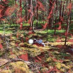 TOP SECRET - TOP SECRET