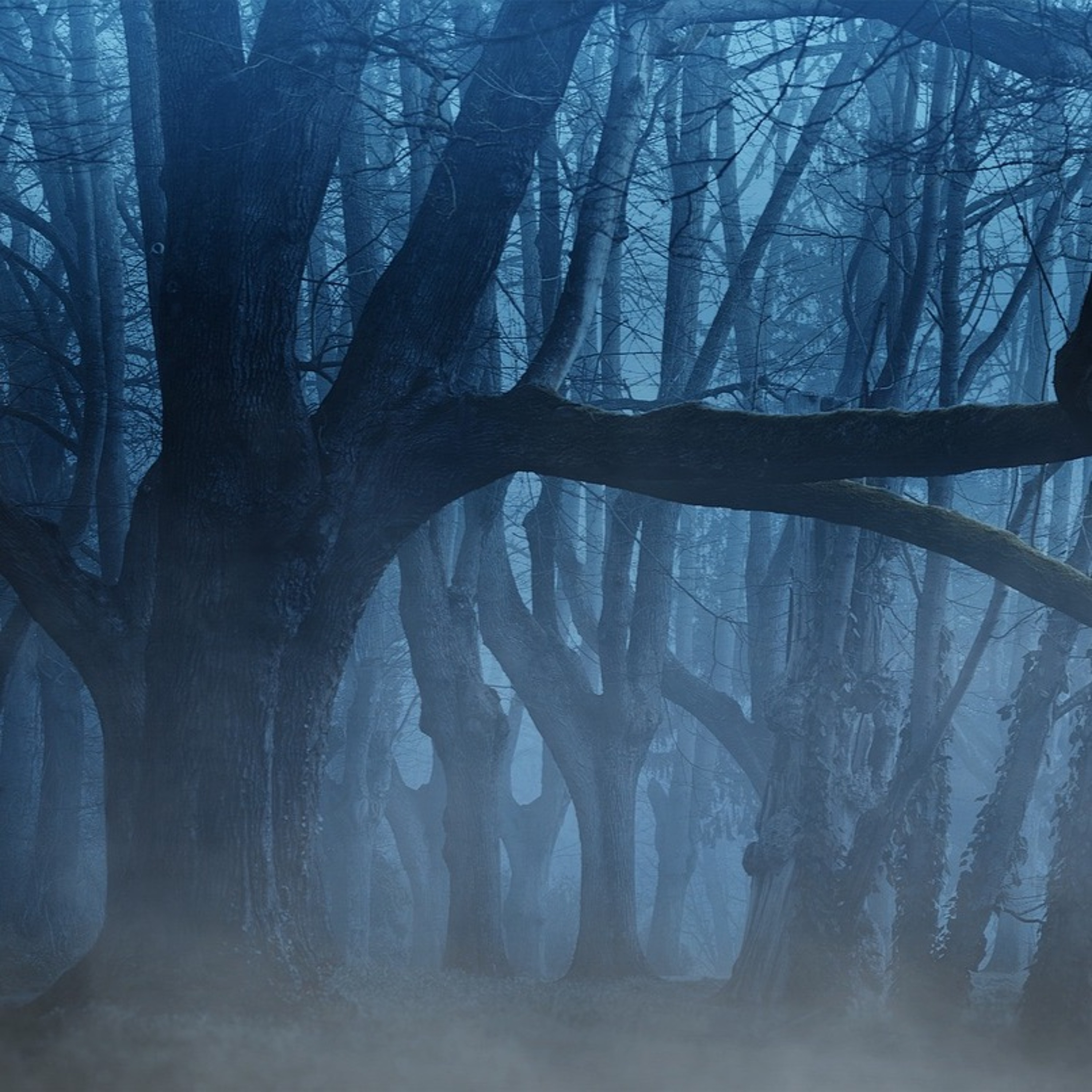 CC221: "This is genuinely unexplained" | Demons, Aliens, and Psychokinesis w/ Jimmy Akin