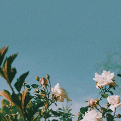 상사화 x 얼음연못 로엘Reol COVER