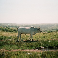O MATO Tapes - 018 - Alexia