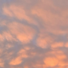 im sorry for what i did to you (version 1)