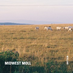 MIDWEST MOLL NTS 091025